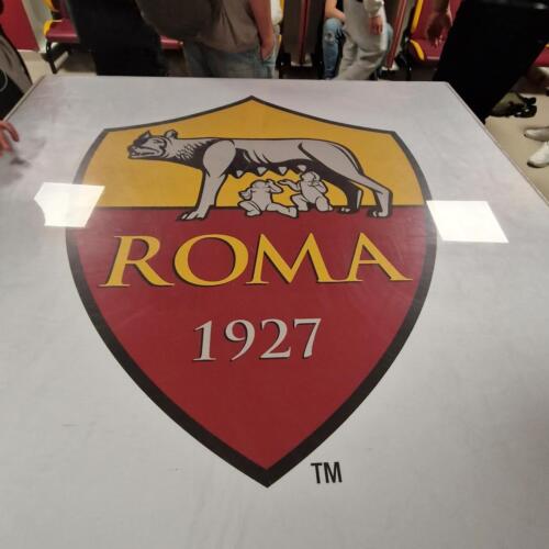 494047990 2390913871278001 760049065397161468 n