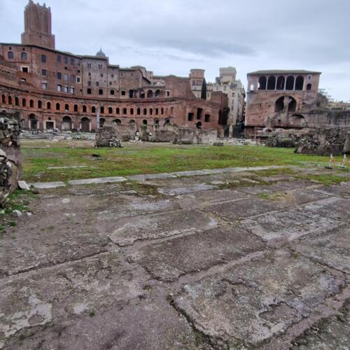 494163034 2392399687796086 3662900992944536973 n